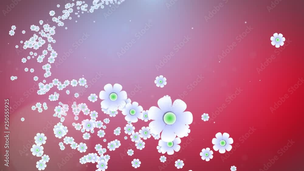 Beautiful white flowers fly to the camera from far away on a red background. Particles sparkle and glare from the sun. Beautiful white flowers fly to the camera from far away on a red background. Particles sparkle and glare from the sun.