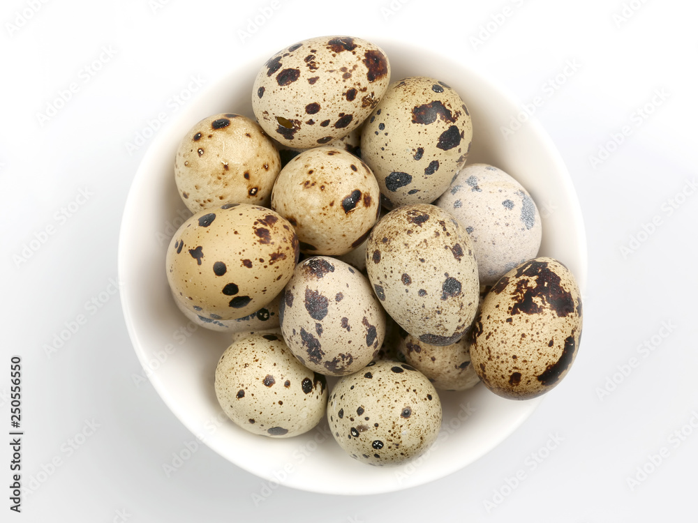 quail eggs lie in a plate on a white background