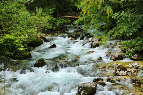 Sava Bohinjka photo