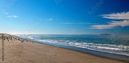 Foto Seagulls on narrow isthmus of sand where the Santa Clara river bird preserve mee