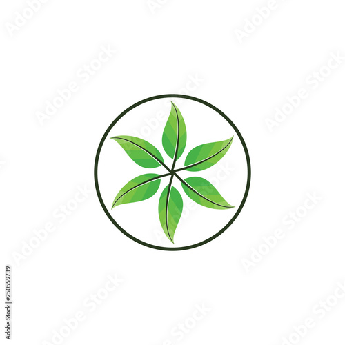 Six Leaf logo design