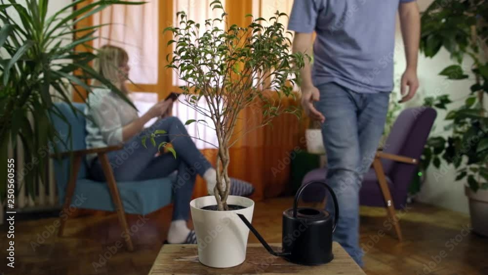 man watering and spraying plant in modern home woman reading from tablet man watering and spraying plant in modern home woman reading from tablet