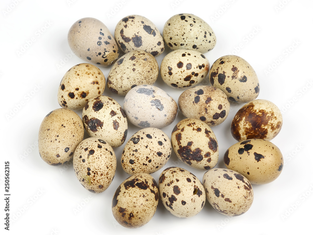 quail eggs on a white background quail eggs on a white background