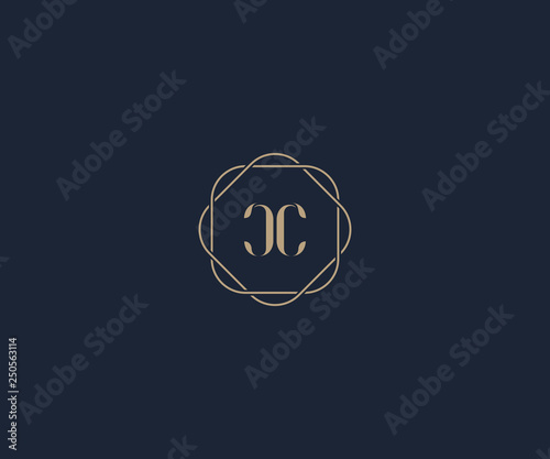 luxury initial letter CC logo design template