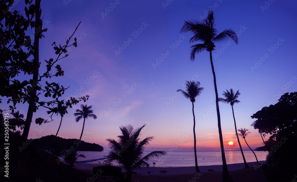 Panoramic landscape of coconut beach sunrise  early morning