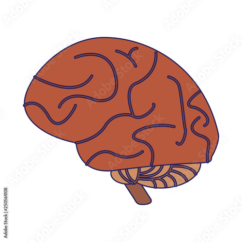 human brain symbol isolated
