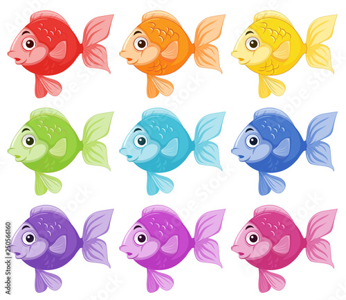 Set of colorful fish