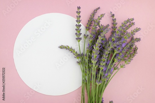 lavender flower bouquet and white  round plate on a pink background.top view, copy space.