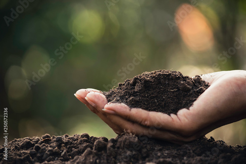 Hand holding fertile soil for plant to growing in agriculture concept on nature background.