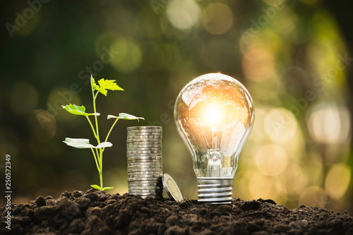 Light bulb with coins and young plant  for saving money financial business or energy concept put on the soil in soft green nature background.