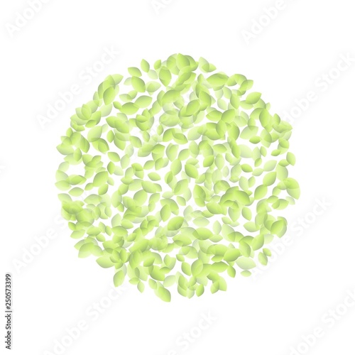 Green leaves in a shape of a ball ornament. Eco vegan isolated vector image