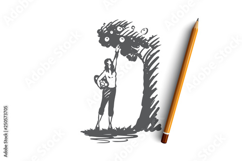 Harvesting, woman, apple, tree, garden concept. Hand drawn isolated vector.