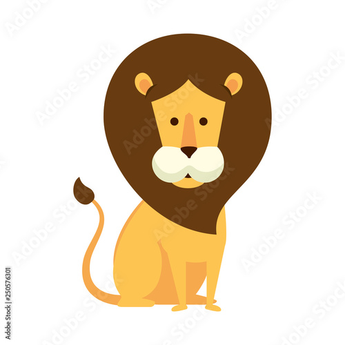 african lion wild animal