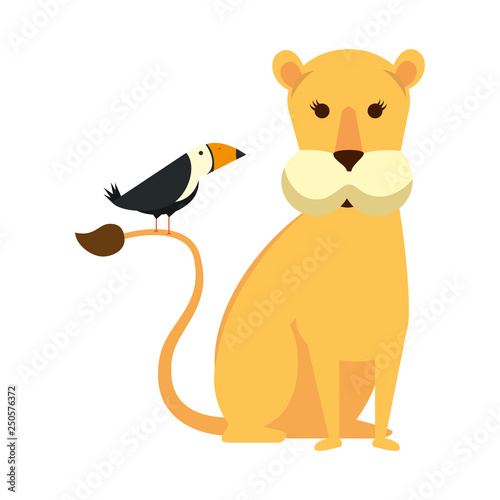 african lioness with toucan bird