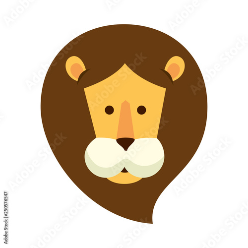 african lion wild animal