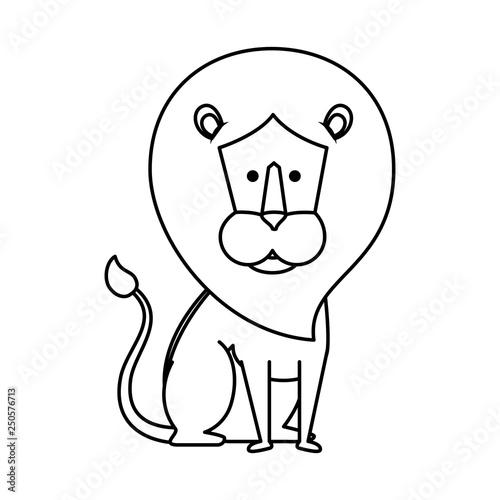 african lion wild animal