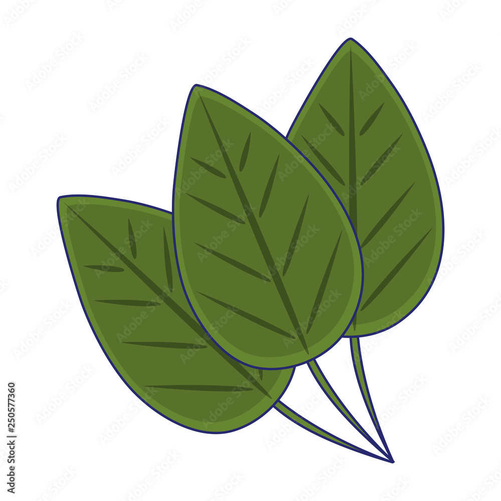 leaves nature symbol isolated blue lines leaves nature symbol isolated blue lines