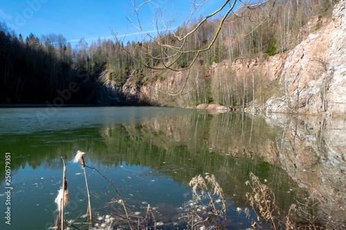 zugefrirener See im Wald - frozen lake in the forest