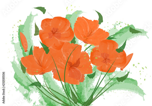 Fototapeta Naklejka Na Ścianę i Meble -  Bouquet of abstract flowers. California poppies, tulips. Vector flowers made with watercolor brush. Spring background.