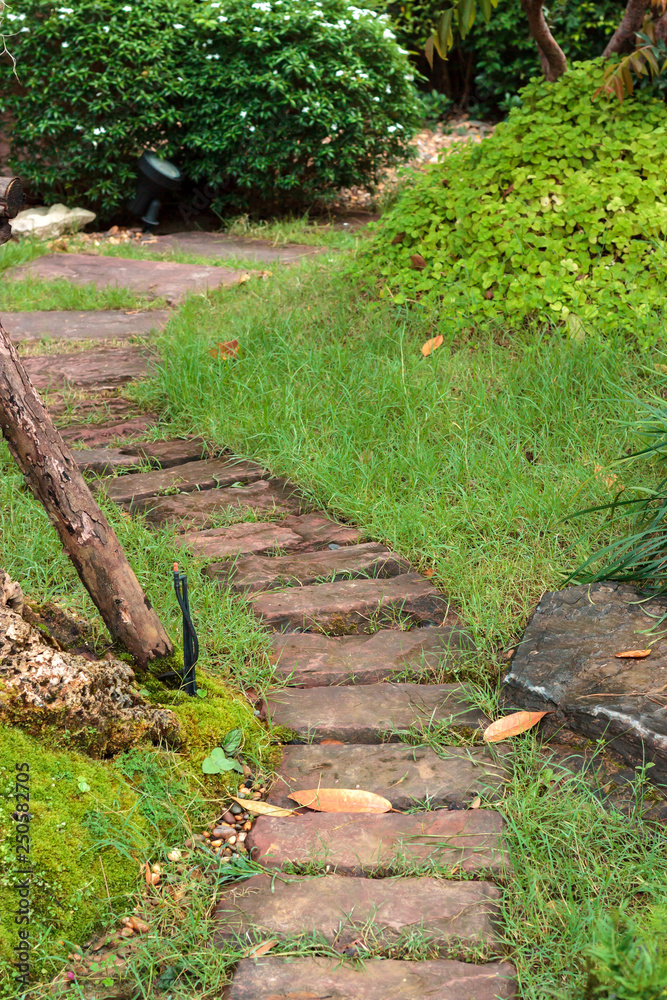 Obraz premium path in the garden.