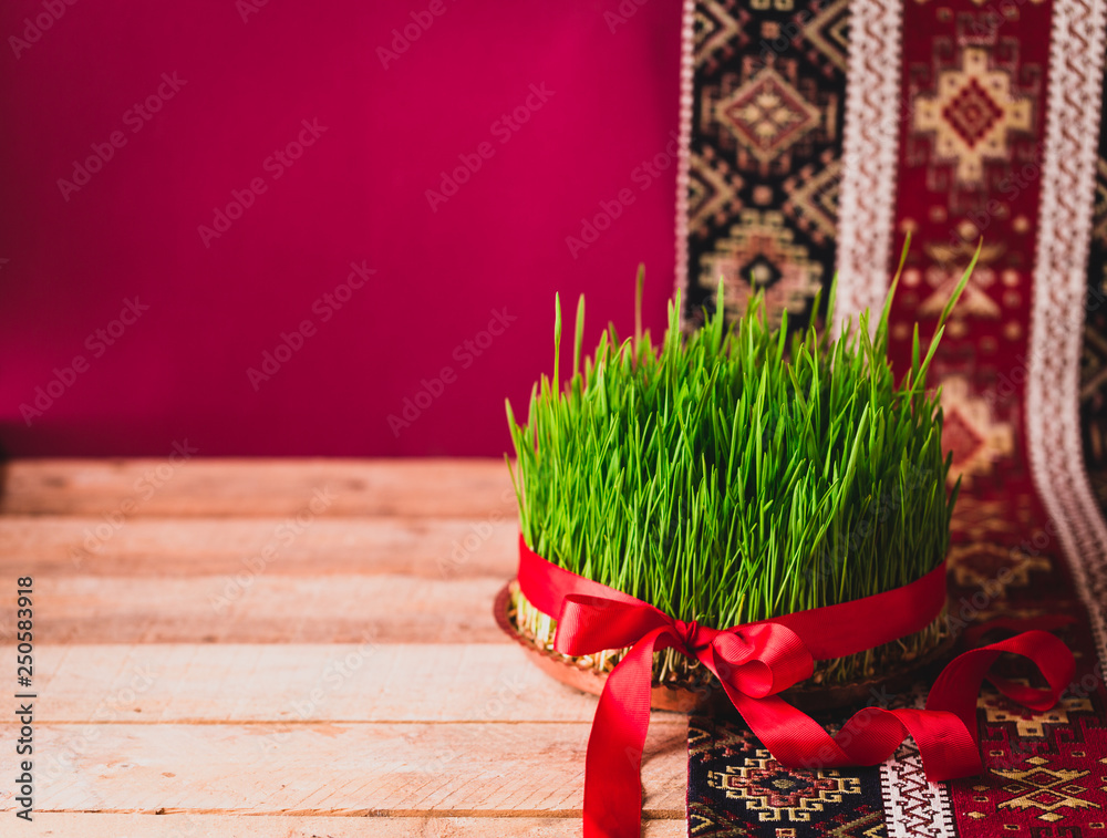 Fotka „Green fresh semeni sabzi wheat grass on vintage plate decorated with  red satin ribbon against dark pink or red background on national style  table cloth, Novruz spring celebration in Azerbaijan“ ze