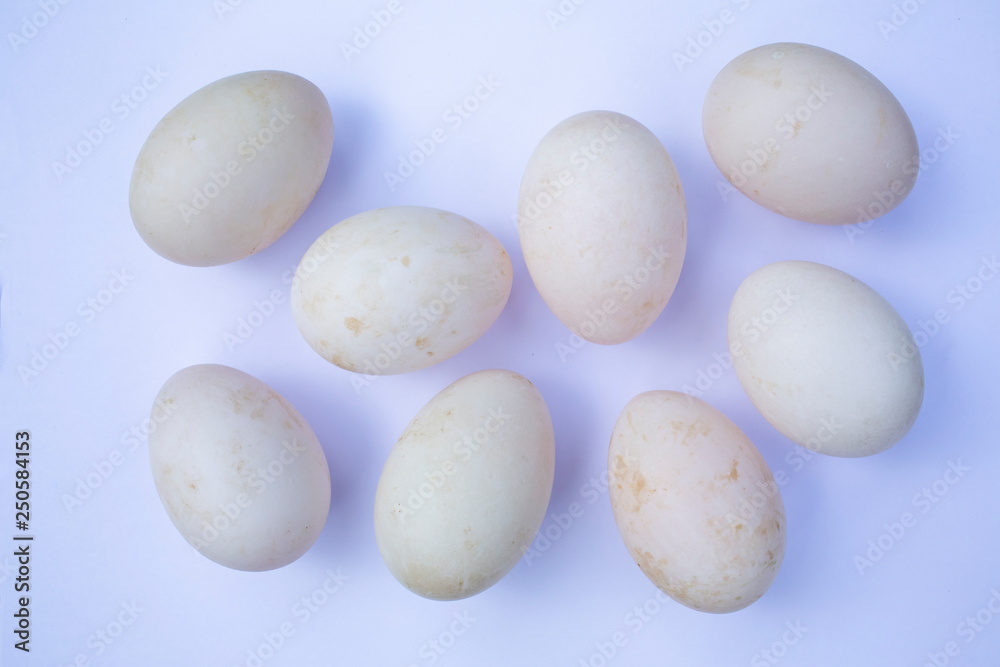 Eight duck eggs on white background Eight duck eggs on white background