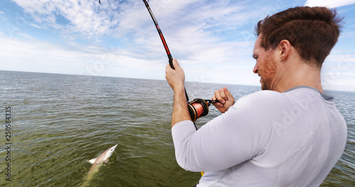 Shark fishing big game spinner shark biting bait man fisher reeling in animal in catch and release sports activity on water. Boat tour.