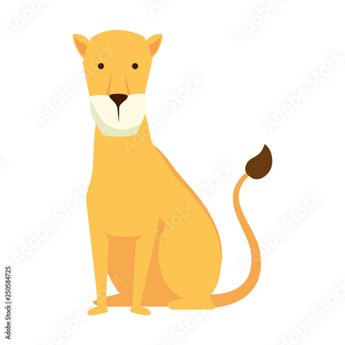 african lioness wild animal