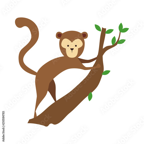 funny monkey wild character