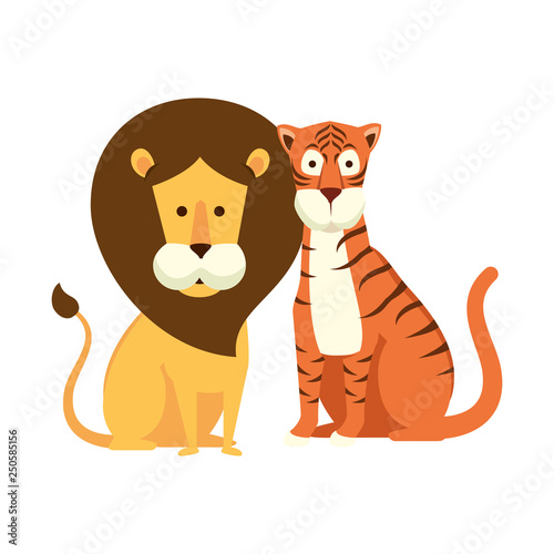 african lion with tiger