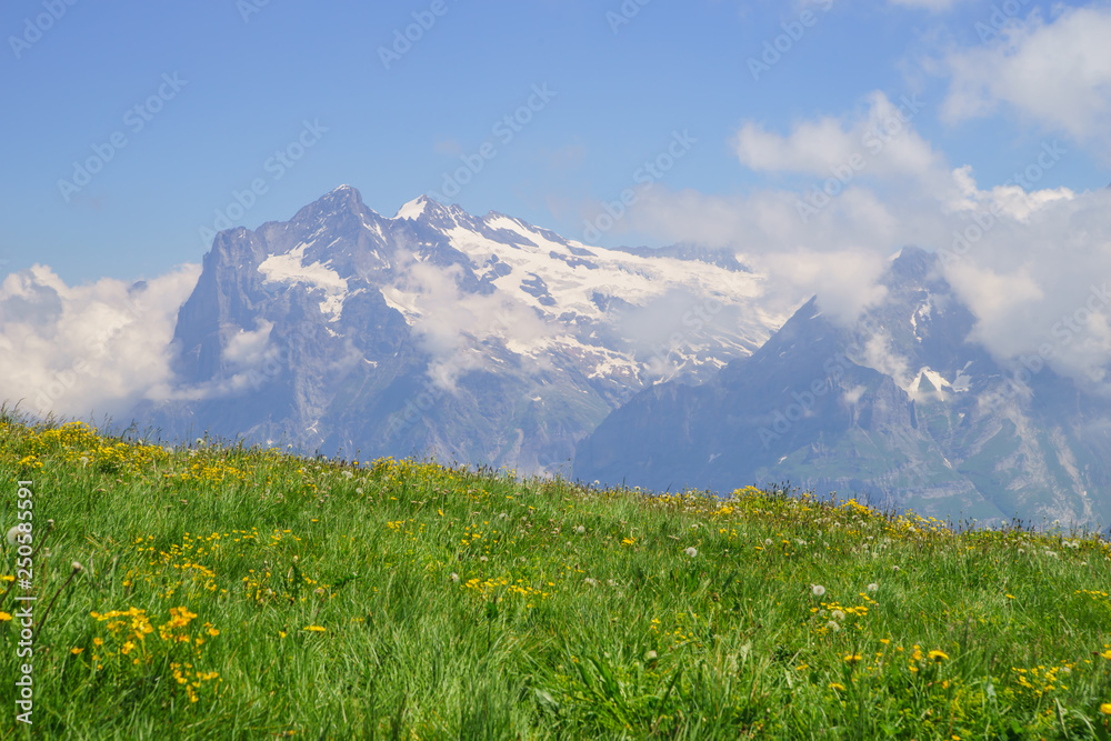 Alpine peaks landskape background. Jungfrau, Bernese highland. Alps, tourism, journey, hiking.