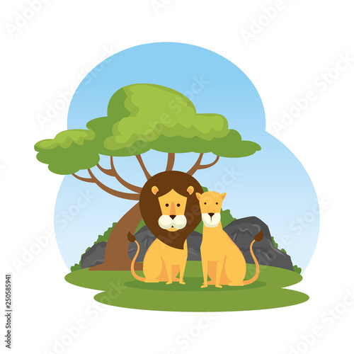 african lions couple in the landscape