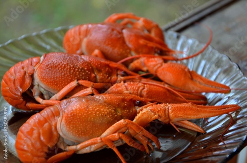 Boiled crayfish is a popular summer dish if you live near a pond