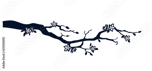 Tablou canvas Vector silhouette of a flowering branch.