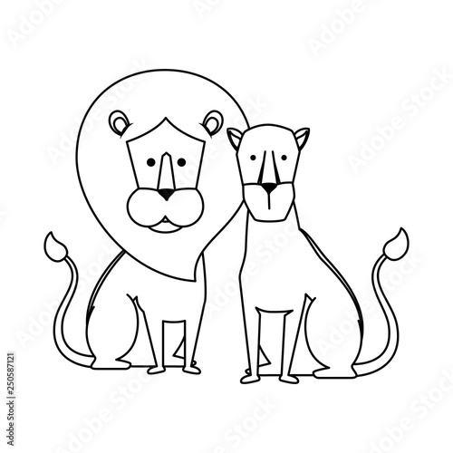 african lions couple characters