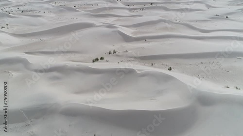 Aerial senital drone scene of dunes and sand desert with plants and the andes mountains on background. Camera moving forward close to the floor discovering landscape. Taton, Catamarca, Argentina photo