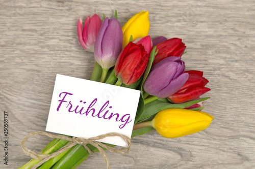 Tulpen und Karte: Frühling