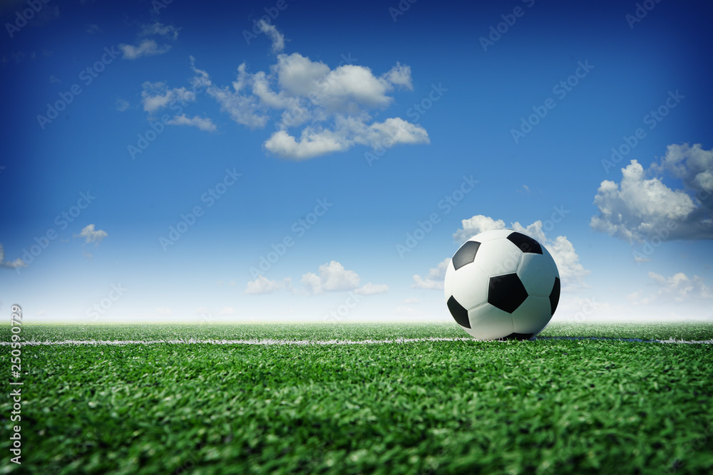 Fototapeta premium soccer field with a ball