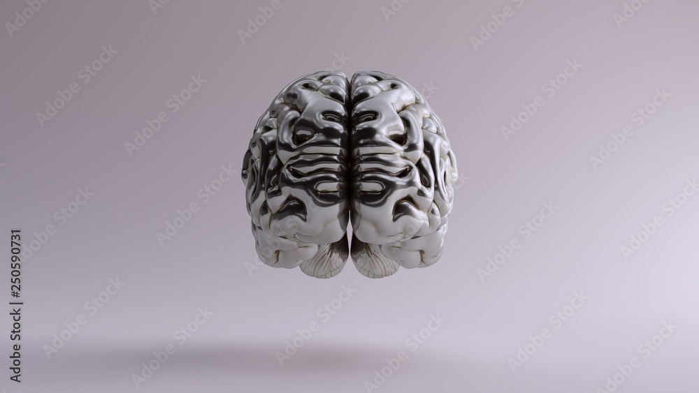 Silver Anatomical Brain Front 3d illustration 3d render Silver Anatomical Brain Front 3d illustration 3d render