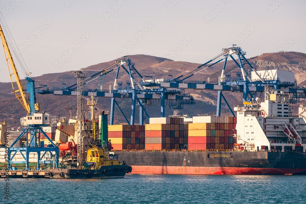 Fototapeta premium Containers on freight ship in industrial sea port for shipping and logistic, cranes and other special equipment, international commerce delivery concept