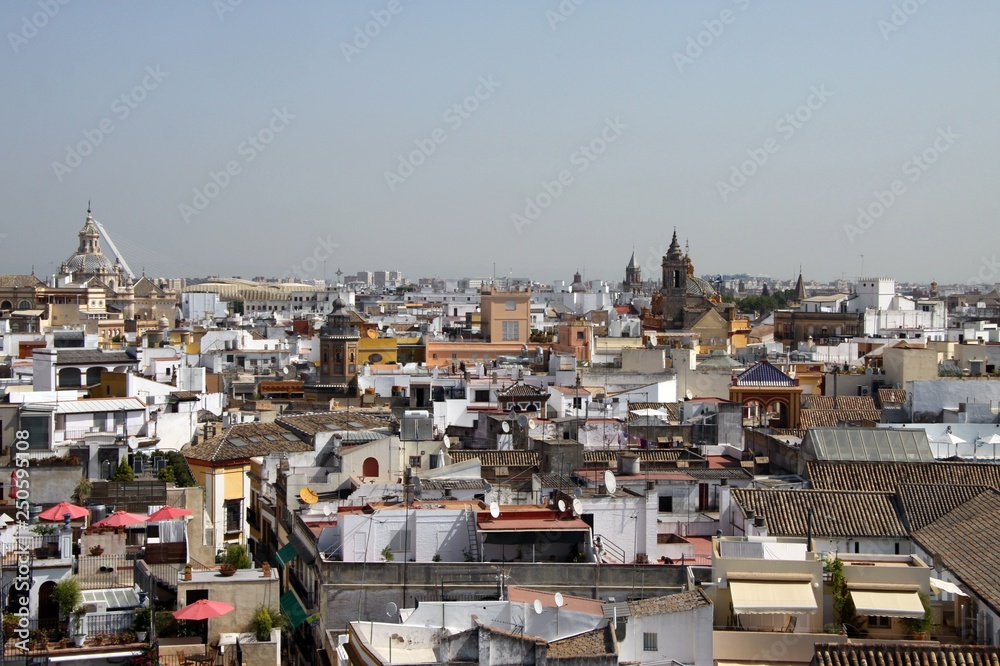  View of Seville from the height of the Cathedral