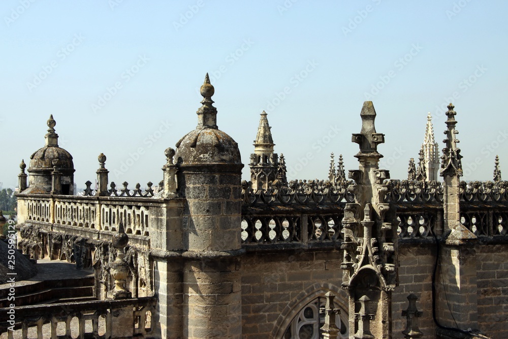 Fototapeta premium Fragment of the Cathedral in Seville