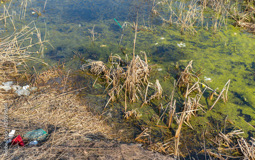 Garbage in the nature  Garbage dump in the lake or river water near the forest ecological disaster concept polluting nature and swamp park with litter and junk