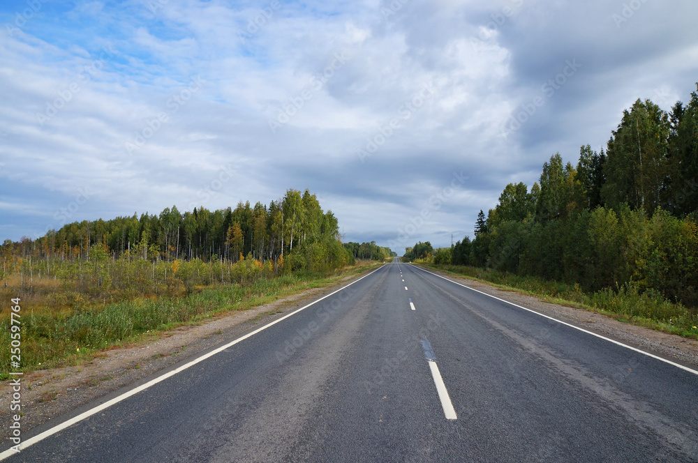 Empty country road with old asphalt passing through a forest. View from road. Cloudy day in early autumn. Location - Russia, Karelia