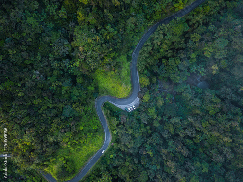 route traverse la foret 