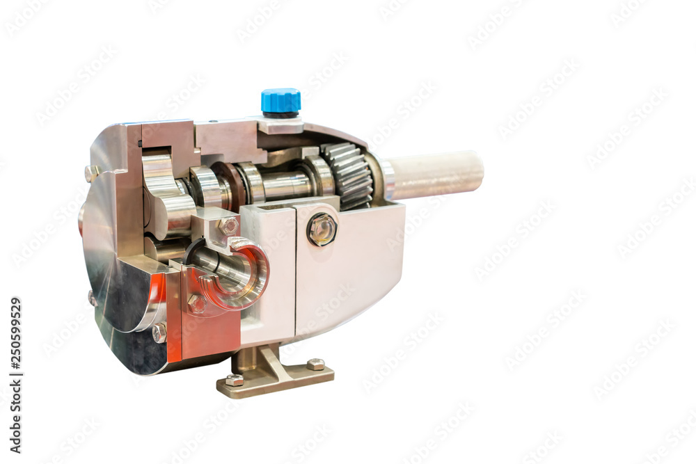 cross section high technology of rotary or lobe gear high pressure vacuum pump with gearbox for control flow rate water solvent chemical liquid or oil isolated on white background with clipping path