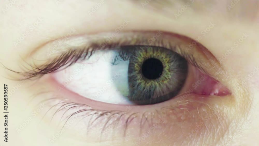 Beautiful Blue Eye of Young Woman Opening Up And Closing. Pupil Constriction Process. Slow Motion Blinking Human Eye. Beautiful Blue Eye of Young Woman Opening Up And Closing. Pupil Constriction Process. Slow Motion Blinking Human Eye.