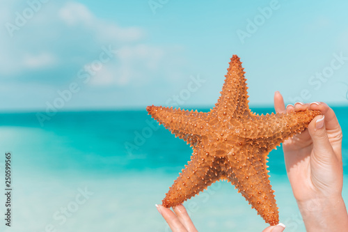 Tropical white sand with red starfish in hands background the sea