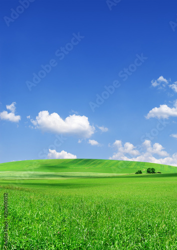 Idyllic view, green hills and blue sky with white clouds