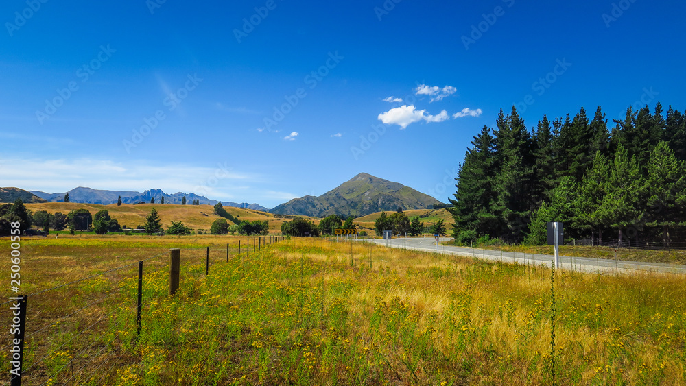 Deans Bank Track in Wanaka